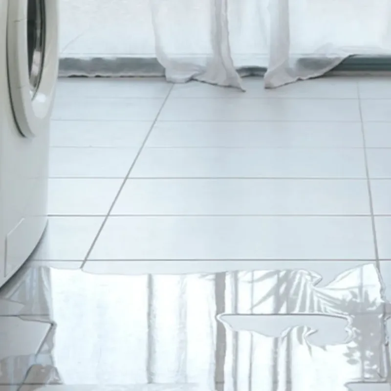 Appliance Leak Cleanup in Ogdensburg, NY