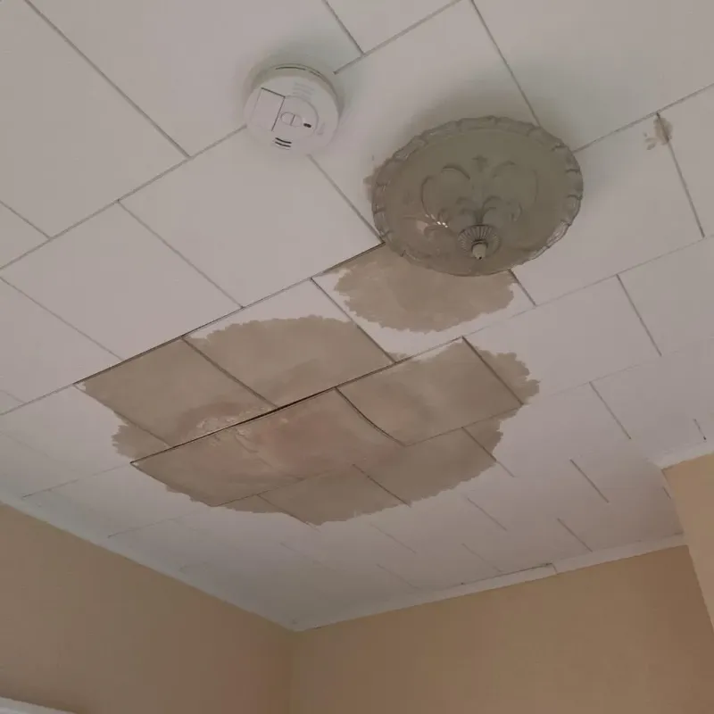 Ceiling Water Damage Repair in Ogdensburg, NY