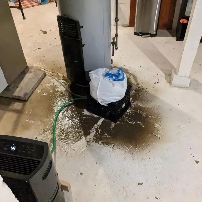 Sewage Backup Cleanup Service in Ogdensburg, NY